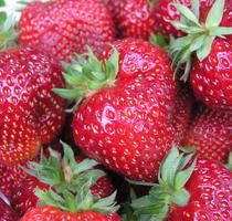Erdbeeren