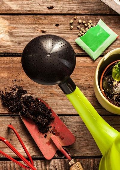 Unsere Tipps finden Sie hier