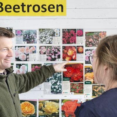 Professionelle Beratung